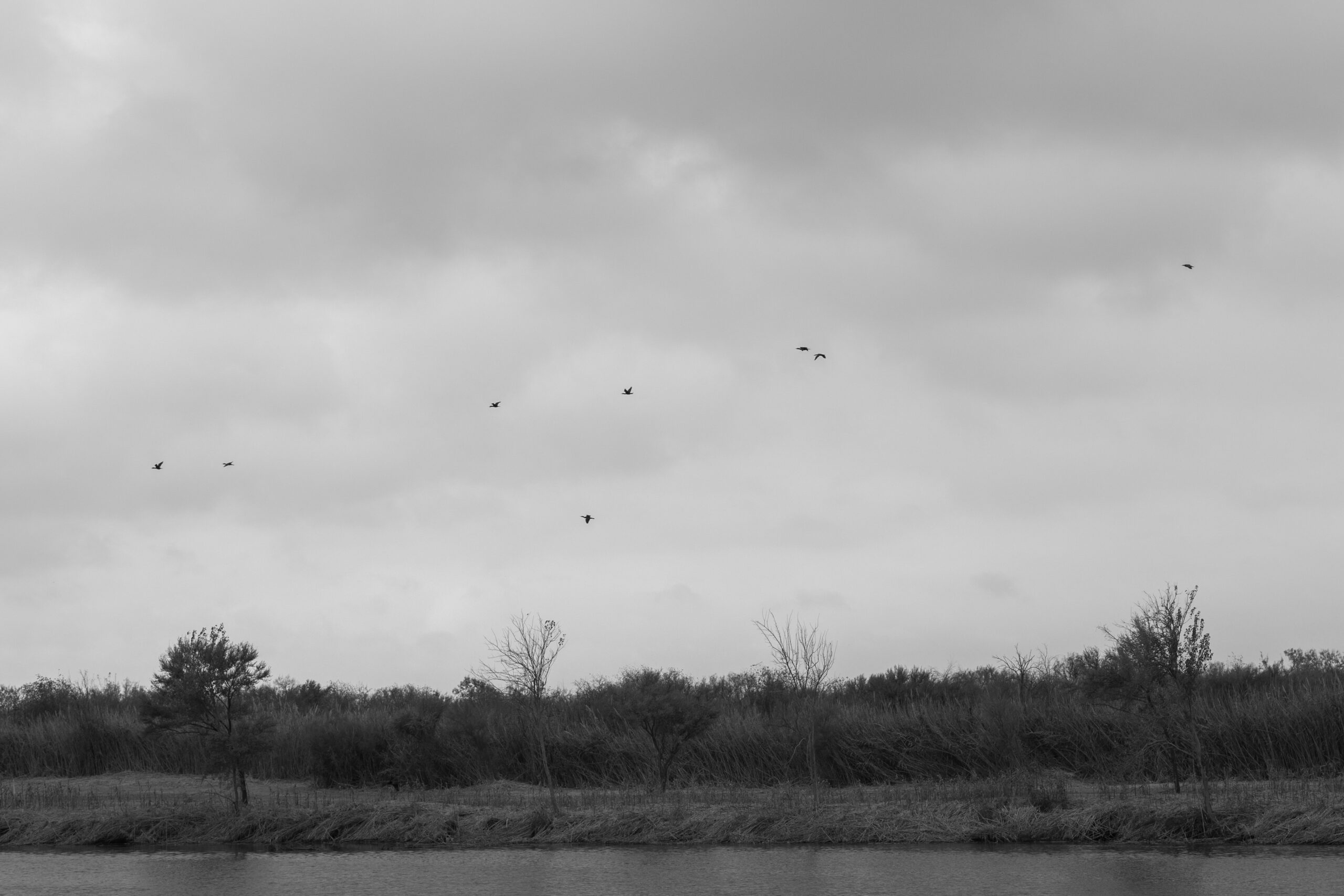 Birds fly across the Rio Grande River at the US Mexico border in Acuña, Mexico