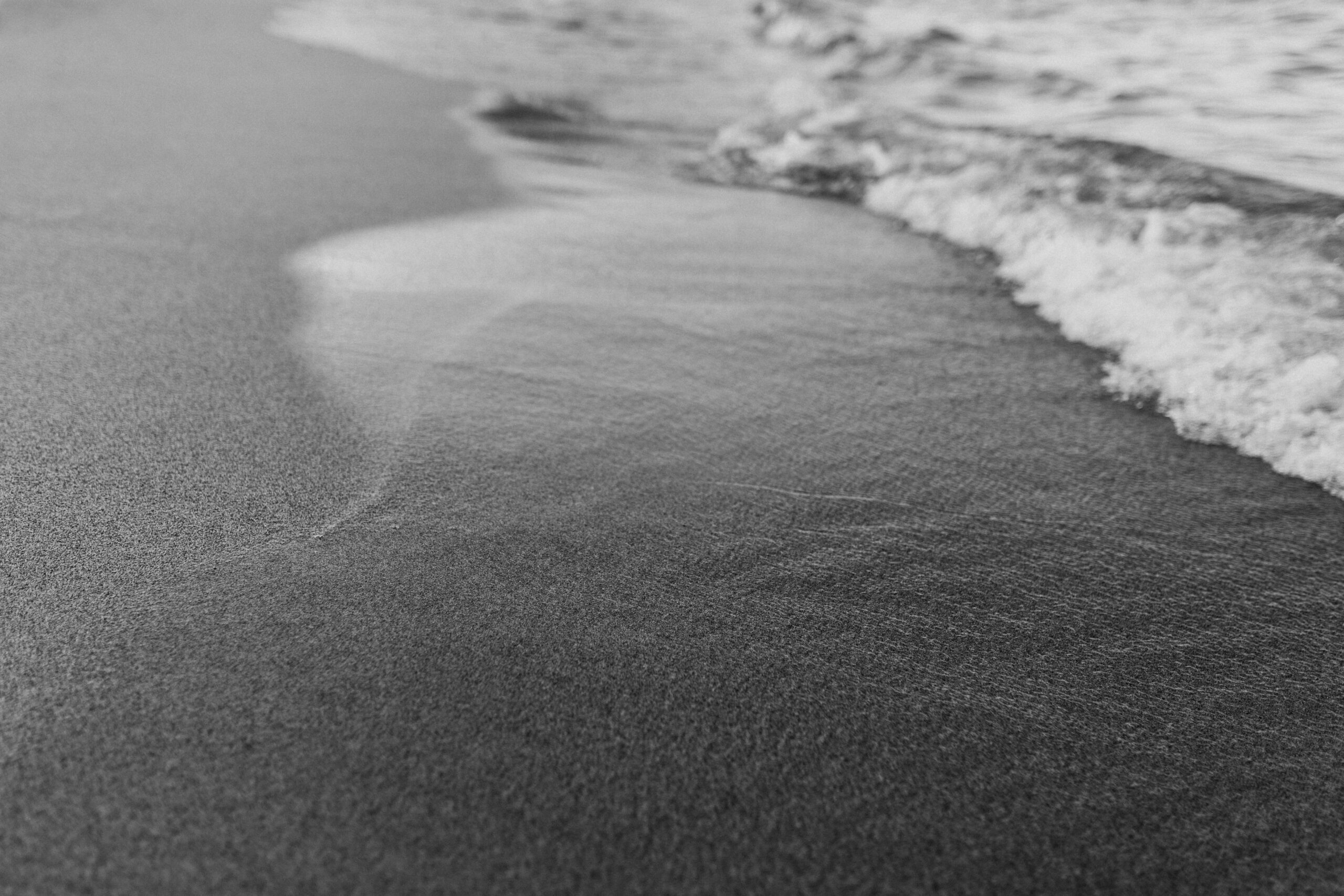 TheShore